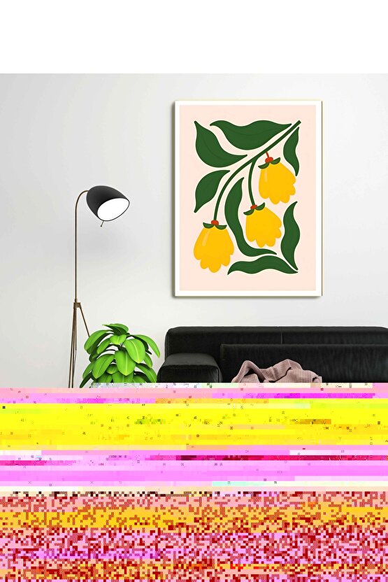 Seyr ü Süluk Risaleleri