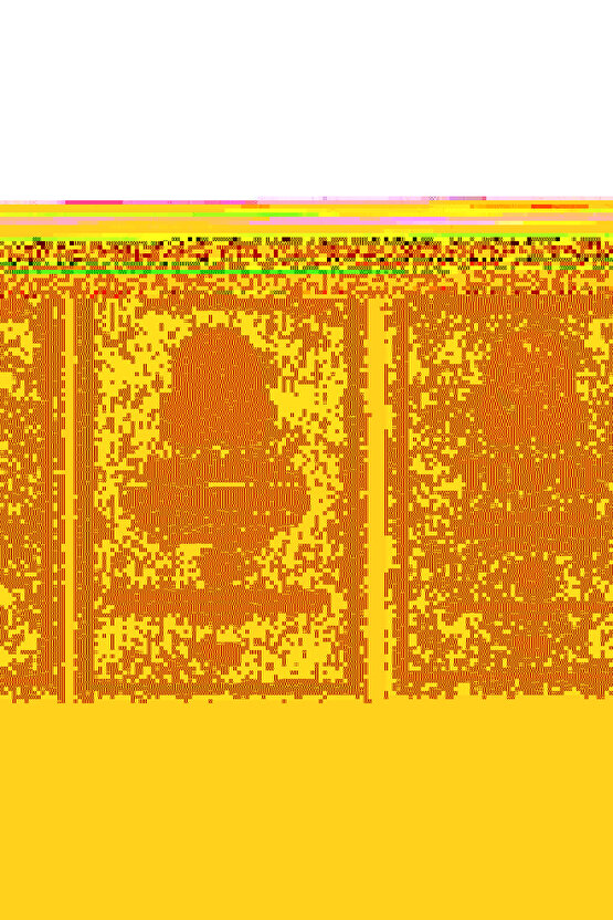 İmam-ı Gazali Seti Tövbe ve Günahlardan Kurtuluş Yolları - İki Şehveti Dizginlemek 2li Set