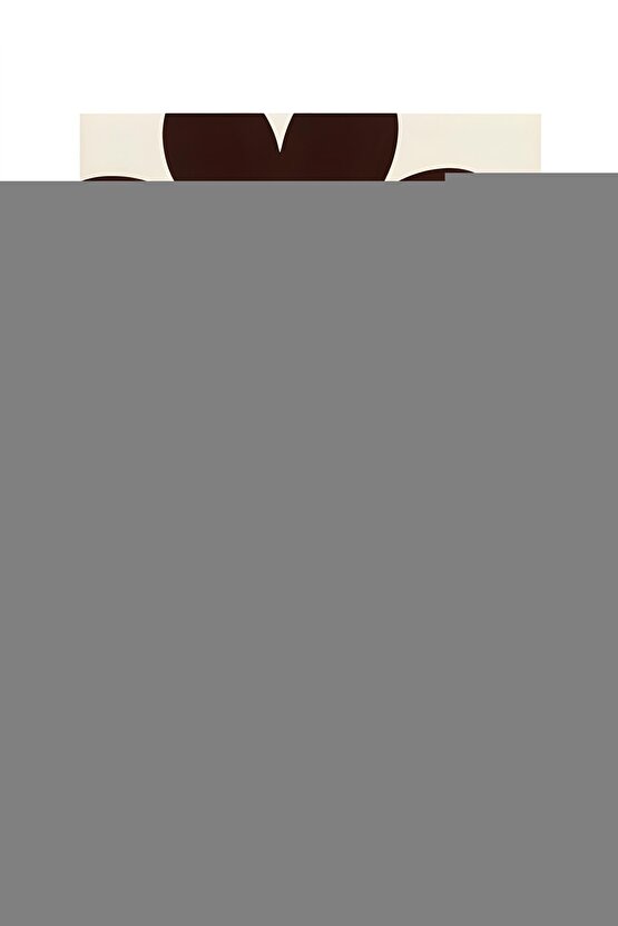 Fatih Sultan Mehmet  Çelik Yayınevi  Ebubekir Subaşı