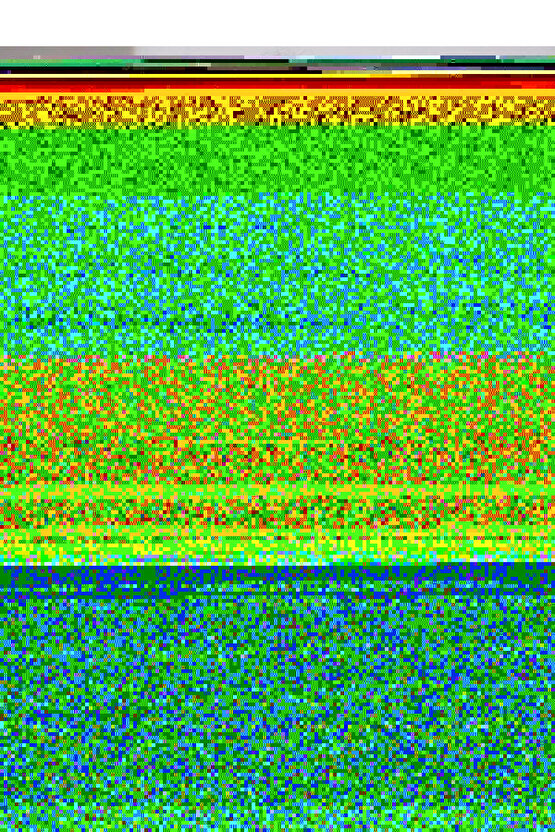 Kadın Uzun Kollu Yakalı Kısa Püsküllü Süet Ceket