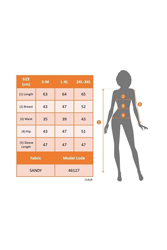 Kadın Truvakar Kollu Kruvaze Yakalı Simli Sandy Bluz