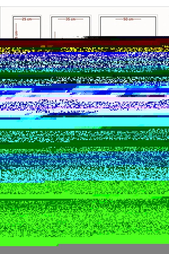 Matisse - Boho - Art Deco - Soyut - Doğa ( 3 lü Çerçevesiz ) Poster - Afiş - Tablo KR2C01166