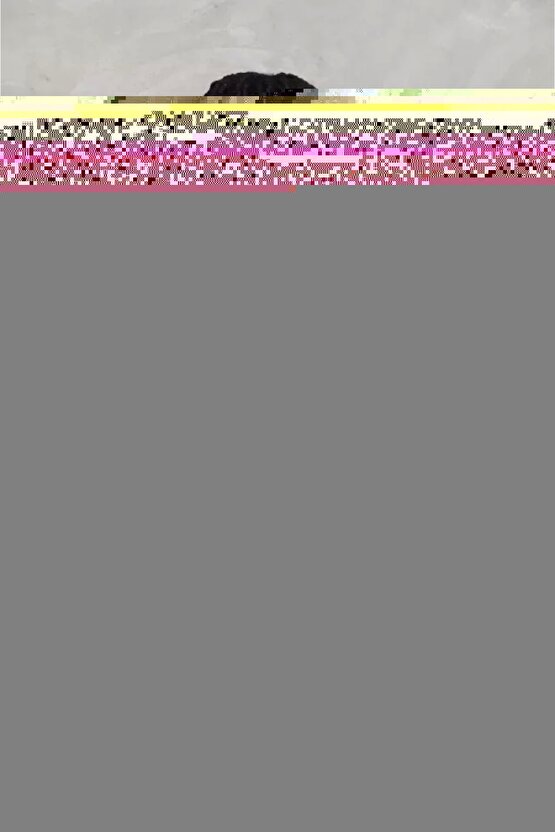 2 Adet Volkswagen Passat için Plaka Lambası