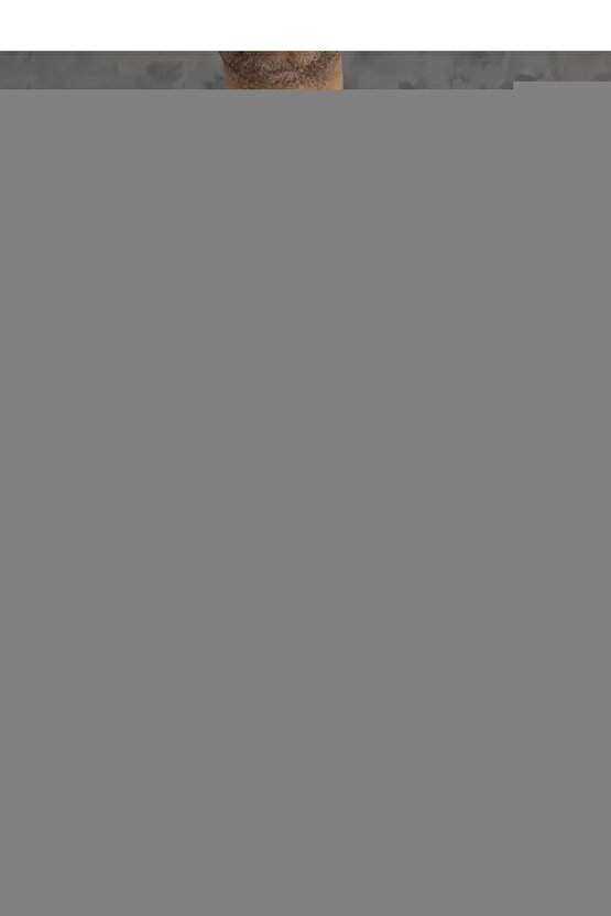 Fiat 500, Croma 154, 194 için Davlumbaz Klips