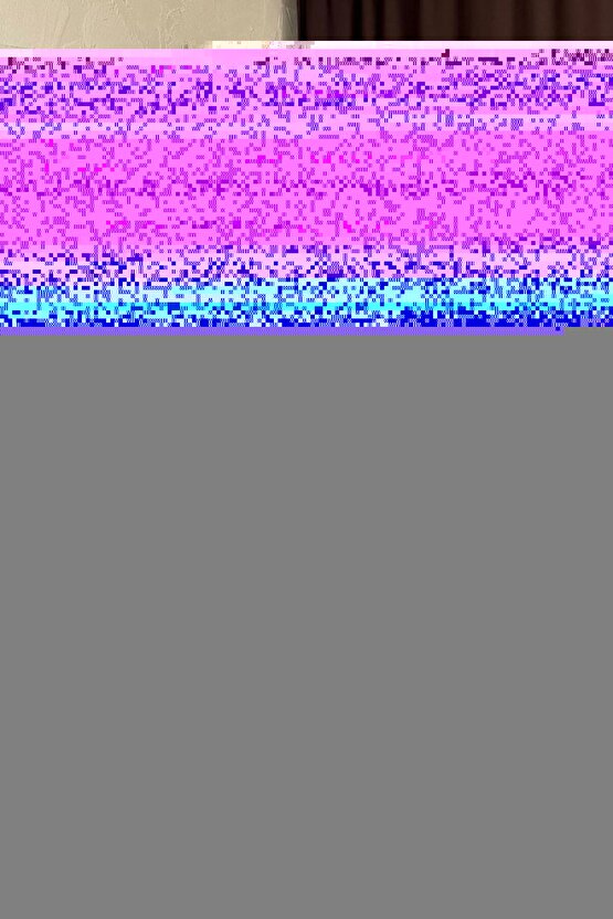 Renult R12,Toros için Plaka Lambası