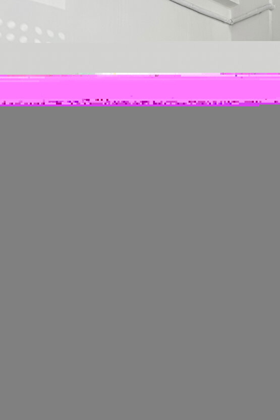 Peugeot 508 için Ön Cam Tamir Seti-Sağ-Sol-SET