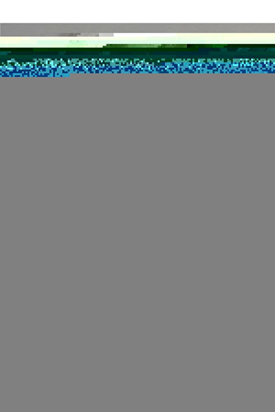 Renault Clio,Symbol için Ön Sol Cam Tamir Seti