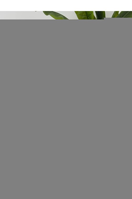 Renault Megane 2, Laguna 2, Scenic 2 için Sağ-Sol Ön Arka Uyumlu Cam Kriko Makarası Seti