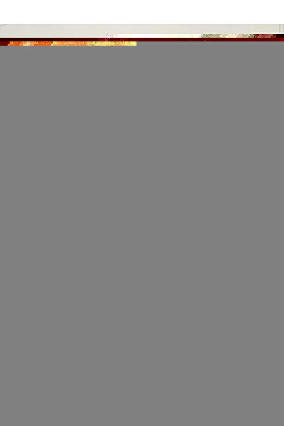 Mercedes E Sınıf (w210-w211) Için Sunroof Perde Izgarası- Siyah