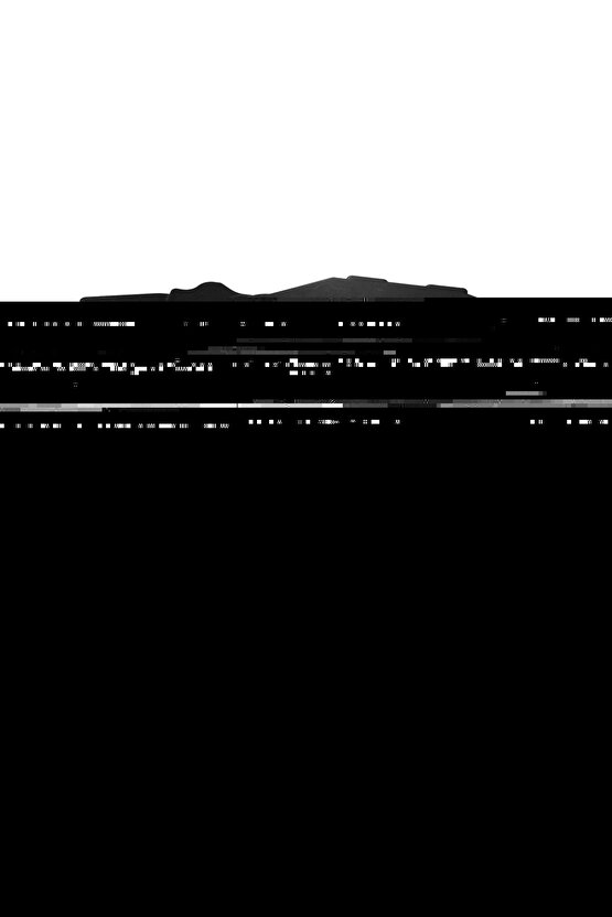 Renault  Scenic 3 Uyumlu İçin Triger Kayışı Kapağı