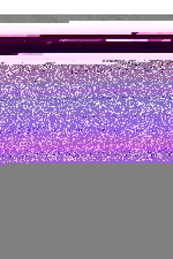 motivasyon öz güven sınavda başarı sözleri duvar yazıları retro ahşap poster tablo