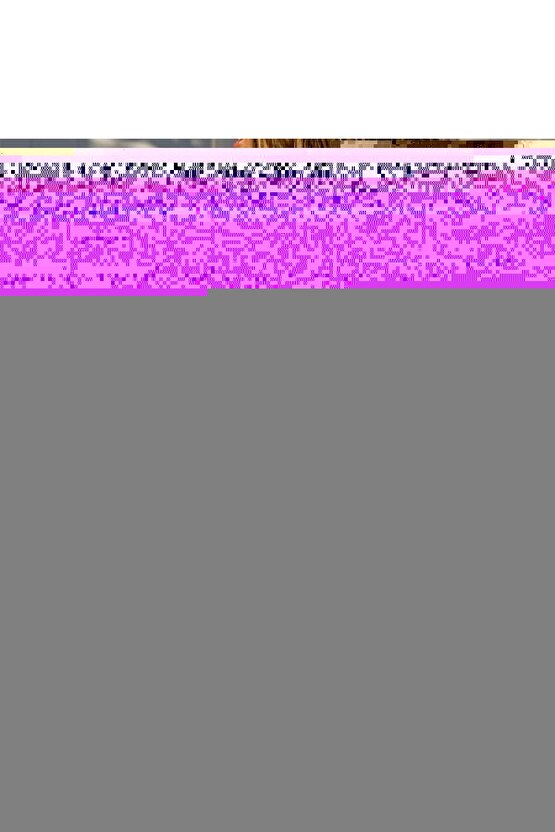 Gökyüzü Moda Kadın Uzun Kollu Bisiklet Yaka Desenli Bluz