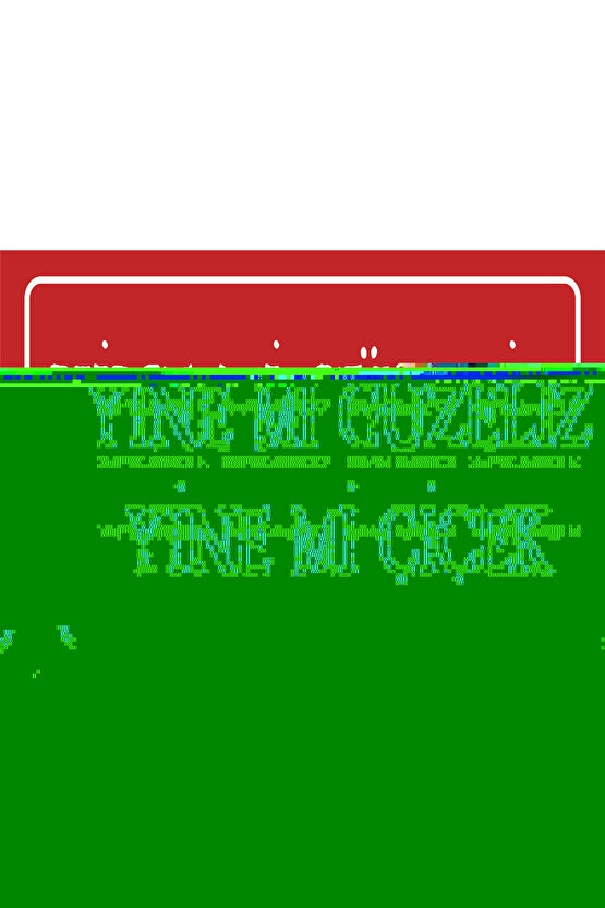 yine mi güzeliz yine mi çiçek komik esprili sözler duvar yazıları tablo retro ahşap poster