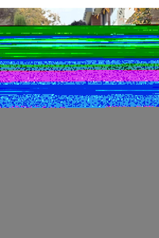 sevgi aşk sözleri sevimli kedi ev dekorasyon tablo mini retro ahşap poster