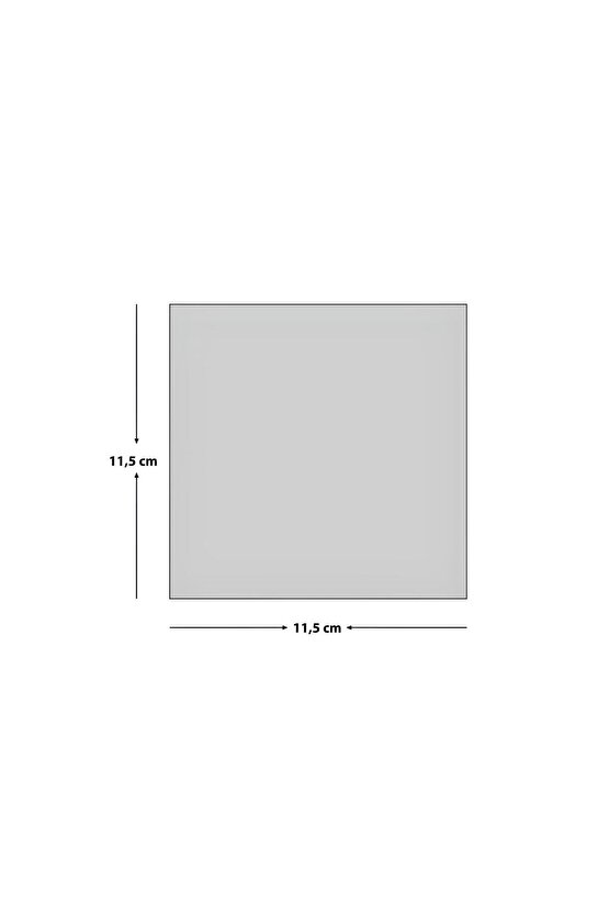 Ekonom 9166 100 Adet Baskısızdır