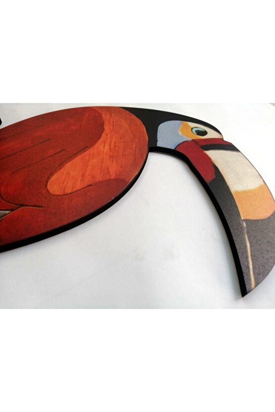 Ahşap Tukan Kuşu Duvar Dekor