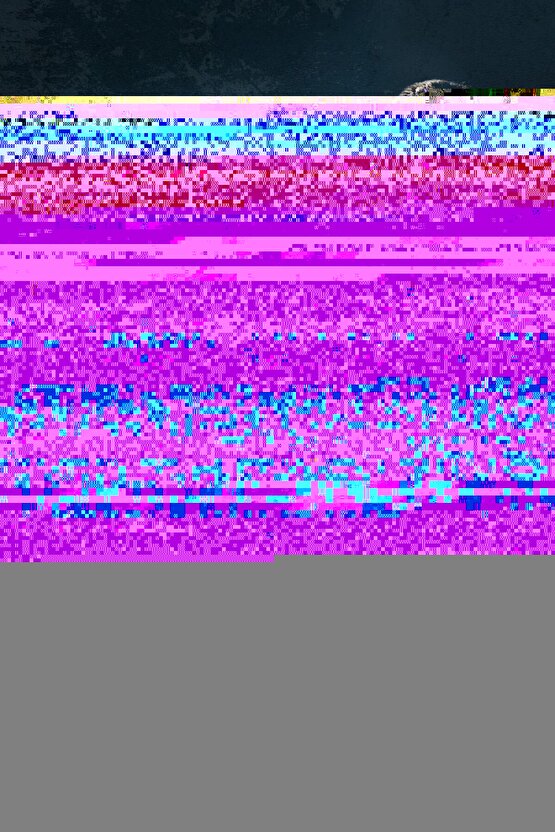 Tablet Tatlandırıcı 500lük Kutu