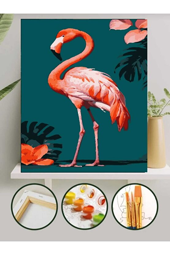 Sayılarla Boyama Kasnaklı Tablo Seti Fırça Boya Dahil 40x50 Devekuşu