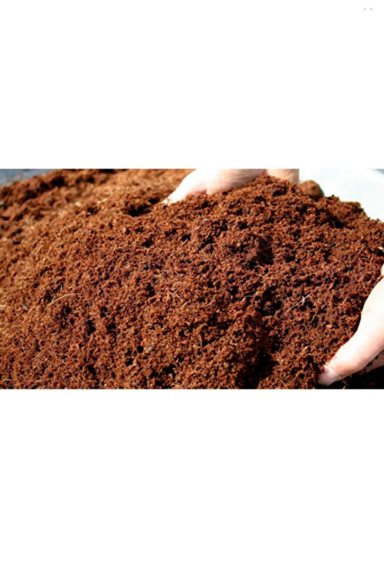 5 Lt Cocopeat Torf Hindistan Cevizi Kabuğu Torfu