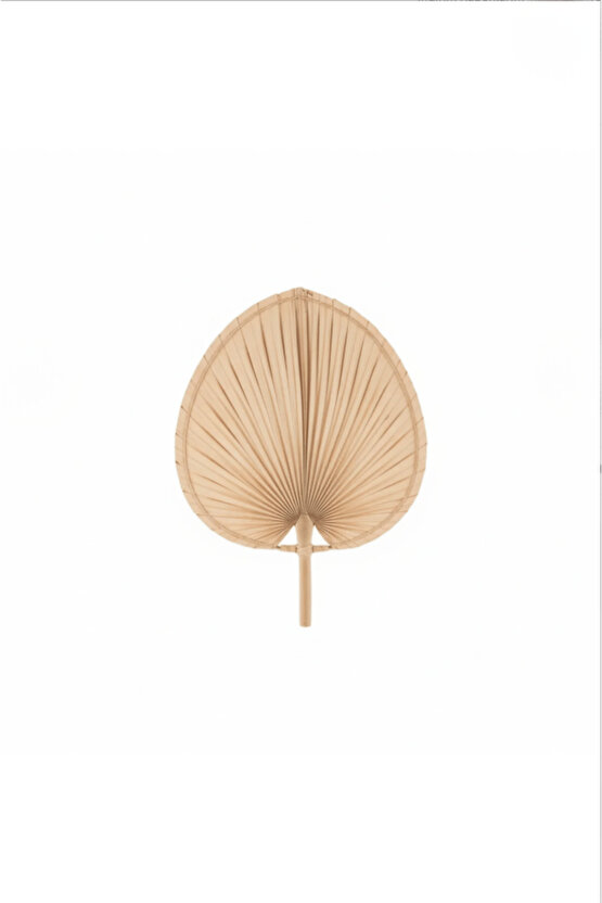 Aura Medium BOY Palmiye Yaprağı Duvar Süsü, Japon Yelpazesi Bohem Stil Dekorasyon, 30 x 20 cm