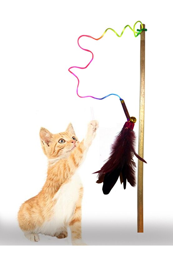 Çubuklu Ahşap Saplı Kedi Oltası, Kedi Oyuncağı 50 Cm (kedi Otu Içermez)