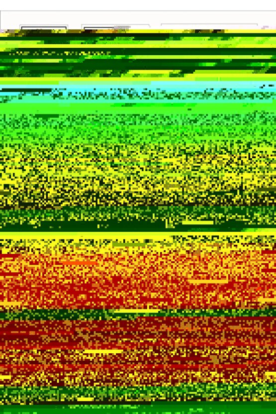 Melisa Tek Kişilik Sandıklı ve Pratik Baza Başlık 2’li Set