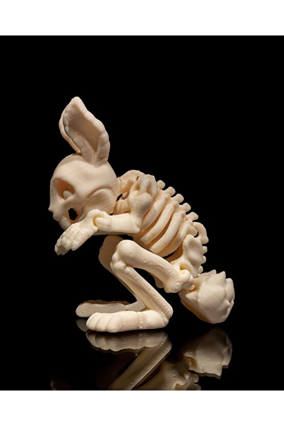 İskelet Tavşan (iskelet koleksiyonu)