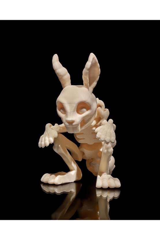 İskelet Tavşan (iskelet koleksiyonu)