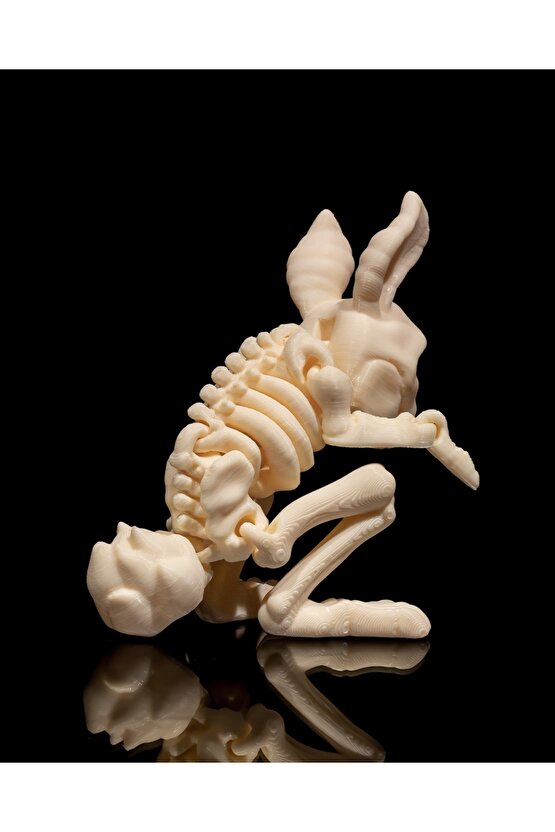 İskelet Tavşan (iskelet koleksiyonu)
