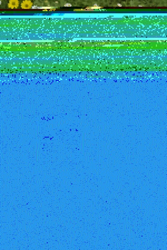 Hot Flowers Tasarım Koleksiyon Ürünü Beyaz Gül Buketi Sevgiliye Hediye Minik Buket