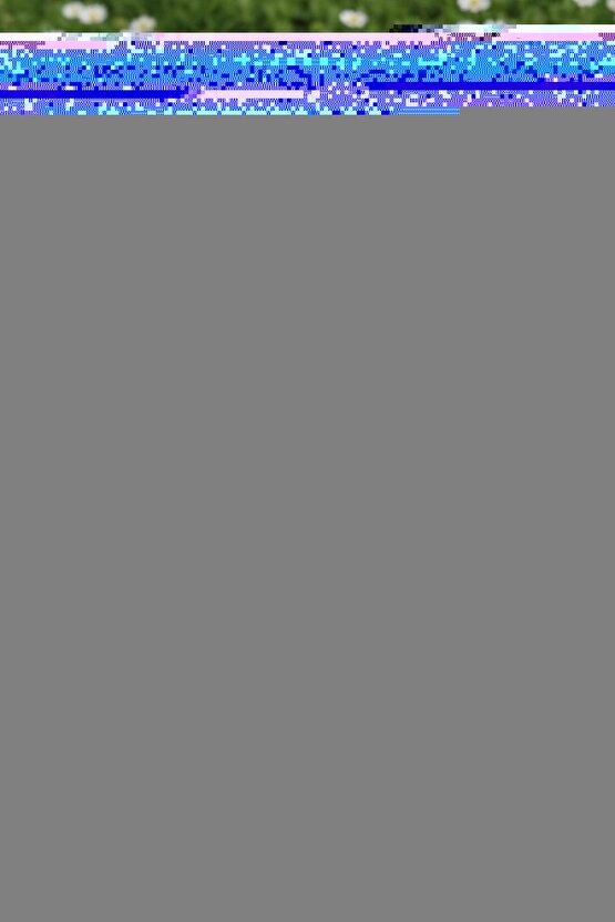 Hot Flowers Tasarım Koleksiyon Ürünü Beyaz Gül Buketi Sevgiliye Hediye Minik Buket