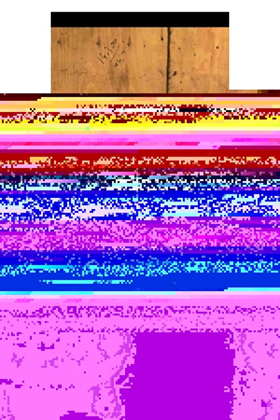 Cosar Ayaklı Tavuk Yemlik 15 kg