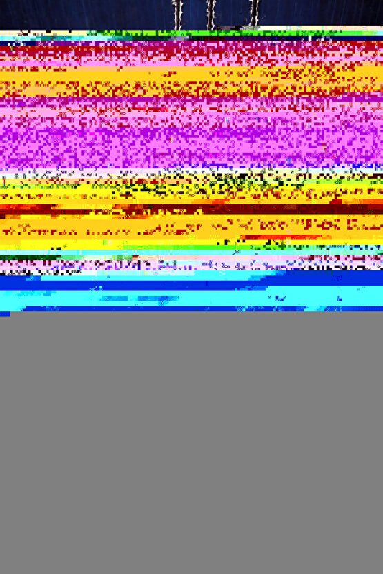 Asılabilir Tavuk Güvercin Folluk 2 Adet Yumurta Haznesiz