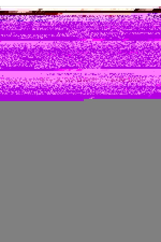 N Joy 2000 W Tost Makinesi Antrasit