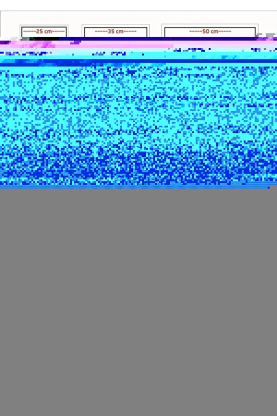 220CM Yükseklik X 600CM Genişlik Doğal Bambu Kamış Hasır Çit Dekoratif Bahçe Balkon ve Duvar Çiti .