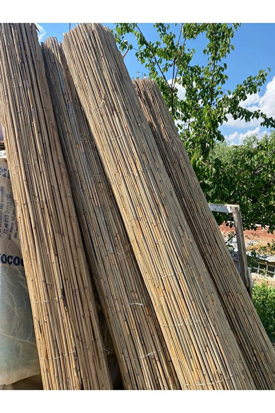 Kamış çit , Hasır çit , bambu 3mx5m