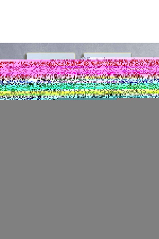 2090 Mavi 3d Yazıcı Taban Bandı 48mmx54,8mt Tdrtr