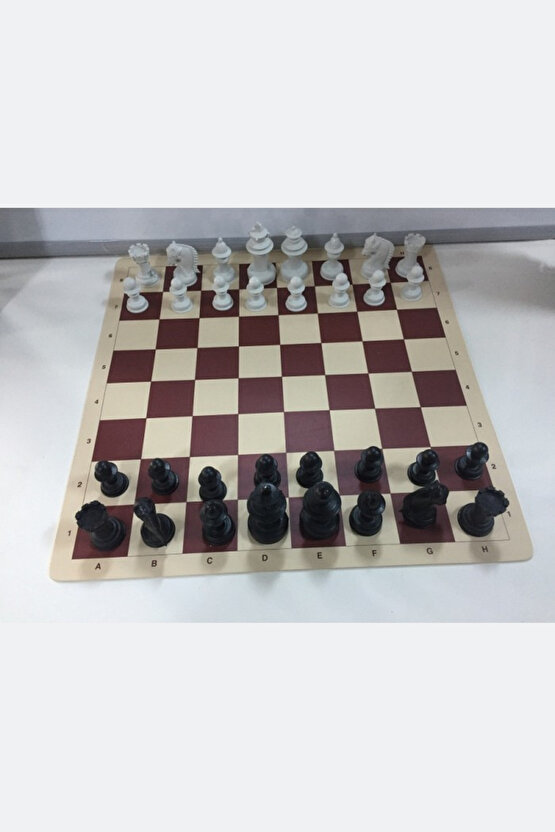 Okul Santranç Takımı (RULO) Taşıma Çantalı