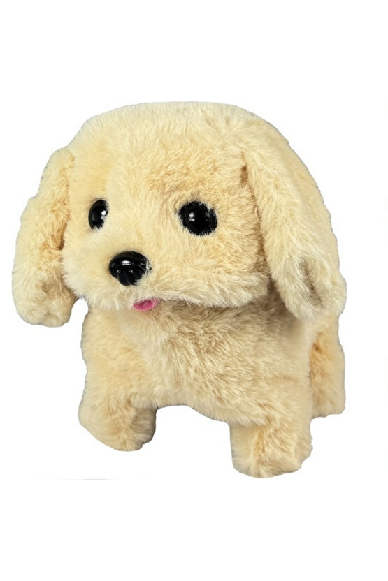 Sesli Yürüyen Peluş Köpek Taşıma Çantalı Aksesuarlı Tasmalı Köpek Aksesuarı Fonksiyonlu 1+ Yaş