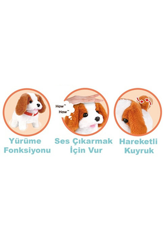 Sesli Yürüyen Peluş Köpek Taşıma Çantalı Aksesuarlı Tasmalı Köpek Aksesuarı Fonksiyonlu 1+ Yaş