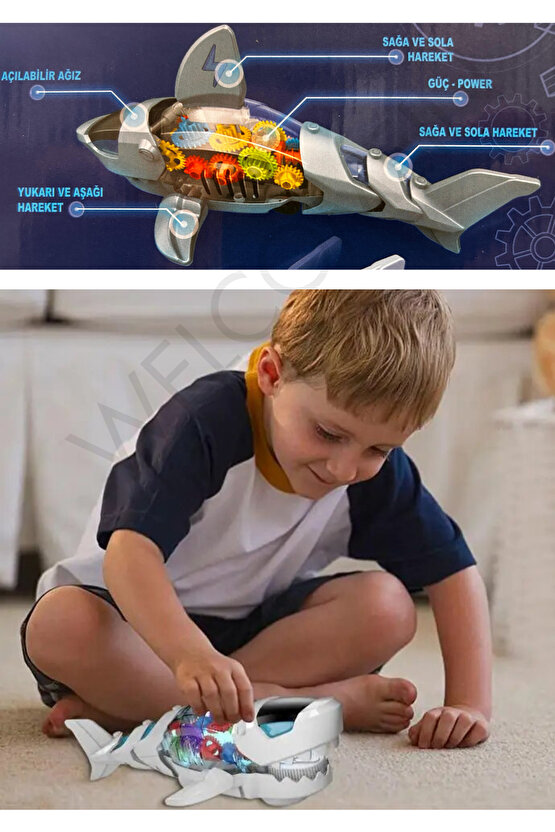 Oyuncak Işıklı Müzikli Ve Hareketli Robot Köpek Balığı Mekanik Aksamı Şeffaf