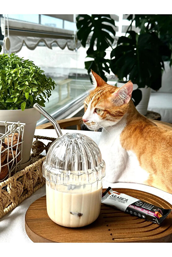 Mika Sert Plastik Kahve Bardağı ve Frozen Meşrubat Bardağı Cam Pipet Hediyeli 430 Ml.