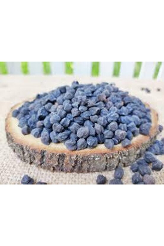 100 Adet Tohum Çok Nadir Bulunan Siyah Nohut Tohumu Faydası Saymakla Bitmez Kara Nohut