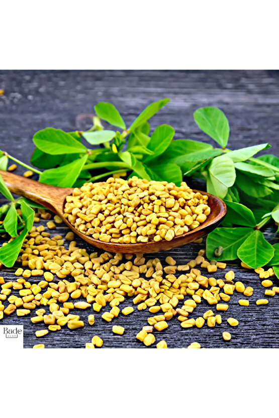 100 Gr - Çemen Otu Tohumu ( Yeni Mahsül)