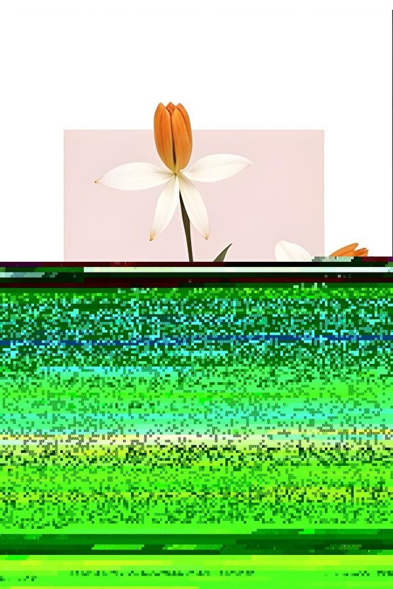 25 gr - Tarçın Toz (ÖĞÜTÜLMÜŞ)