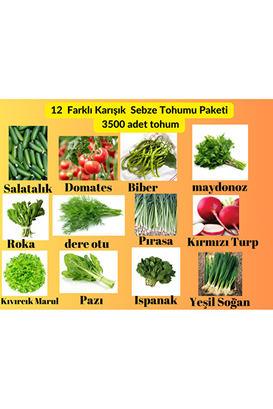 12 Çeşit Sebze Yeşillik Tohum Paketi - Pırasa, Turp, Pazı,Soğan ,Yerli Ata Sürdürebilir   3500 Adet