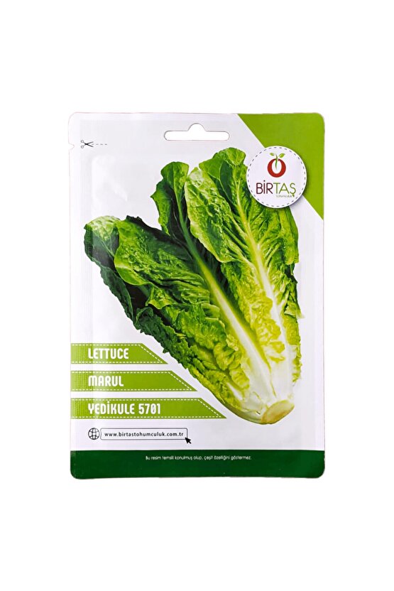 Marul -yedikule- 5701 Tohumu