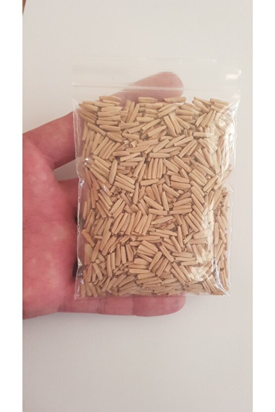 25 Adet Karışık Renklerde Adenium Çöl Gülü Tohumu