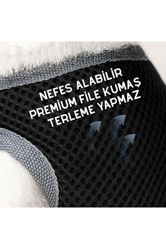 Köpek Göğüs Tasma Sevk Kayış Seti Sevk Kayışı Köpek Tasması Bundle Rahat Dayanıklı Nefes Alır File