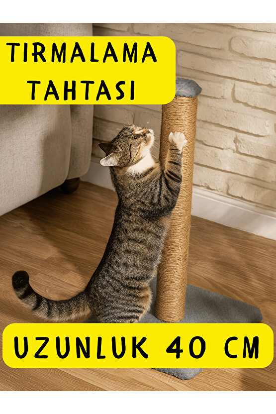 5 Parça Kedi Köpek Başlangıç Seti Kedi Ev Taşıma Kutusu Tırmalama Tahtası Tırmalama Matı Battaniyesi